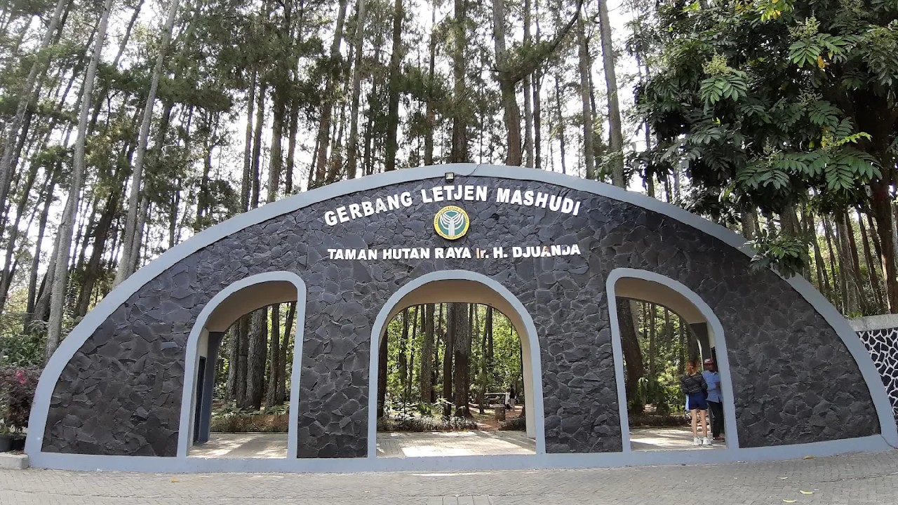 Taman Hutan Raya Ir. H. Juanda (Tahura Djuanda)
