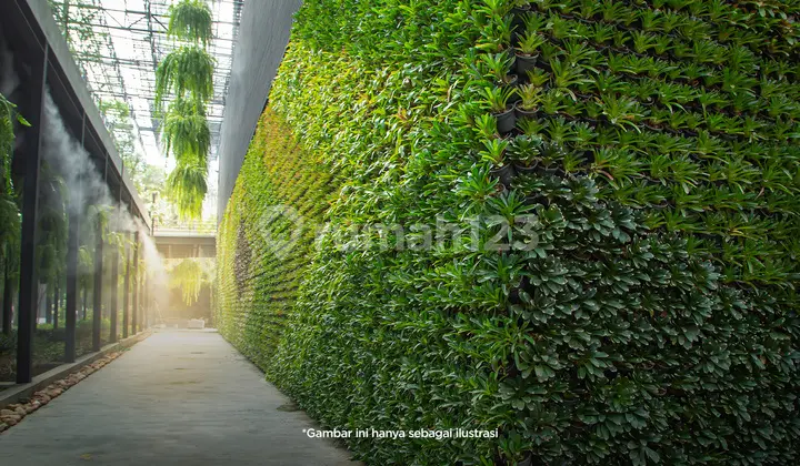 Koridor Ramah Lingkungan