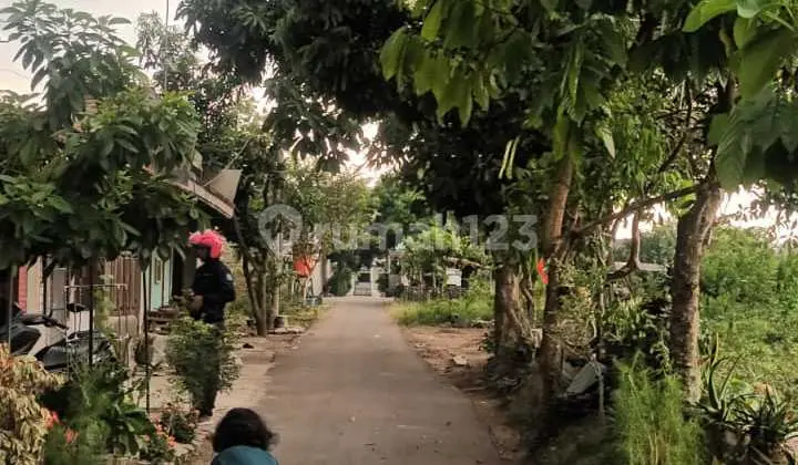 foto lainnya jual murah bu tanah di