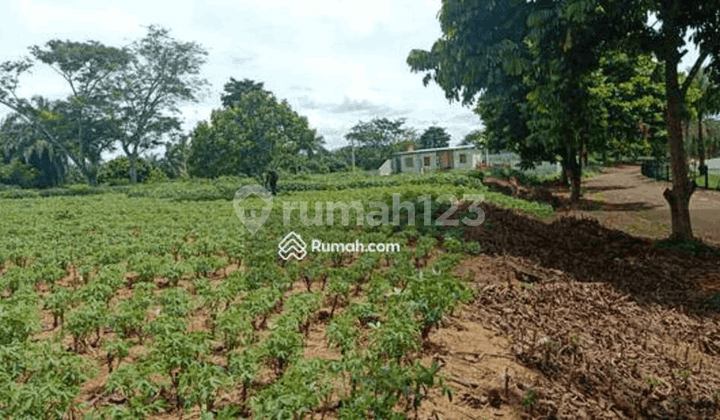 tampak depan tanah kavling di perumahan telaga