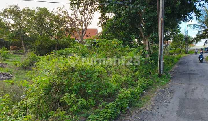 tampak depan tanah shm 200 m2 kuning