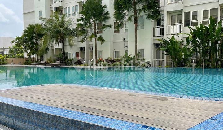 kolam renang jual murah apartment mewah yogyakarta