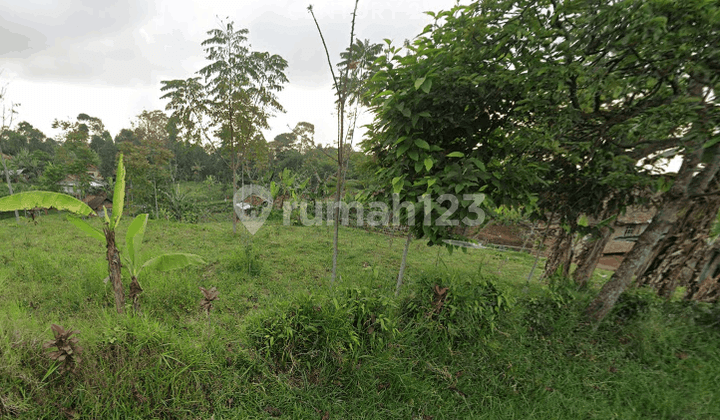 foto lainnya tanah luas dengan lingkungan asri