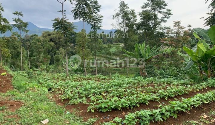 foto lainnya tanah luas dengan lingkungan asri