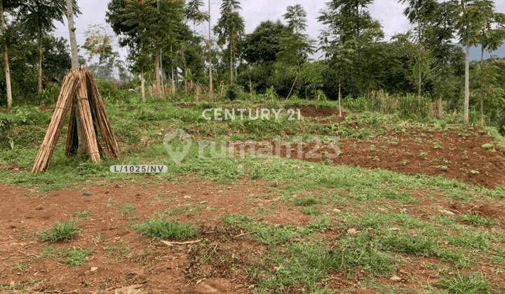 foto lainnya tanah luas dengan lingkungan asri