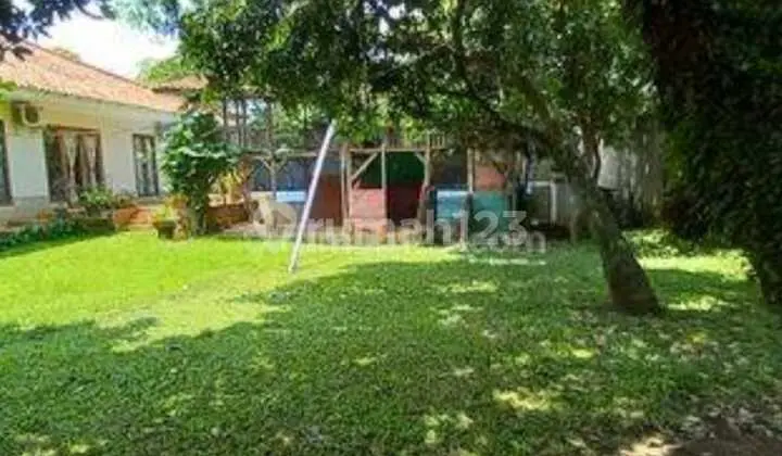 backyard rumah tropis bergaya villa nempel