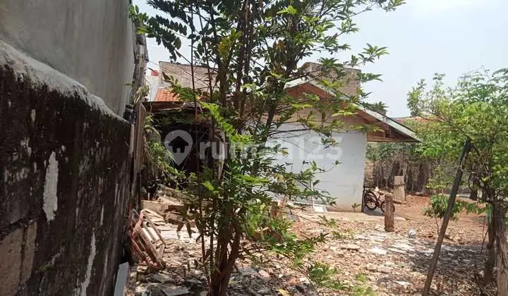 backyard dijual cepat bu tanah daerah