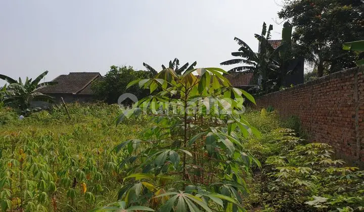 foto lainnya dijual kavling luas 2430m2. shm.