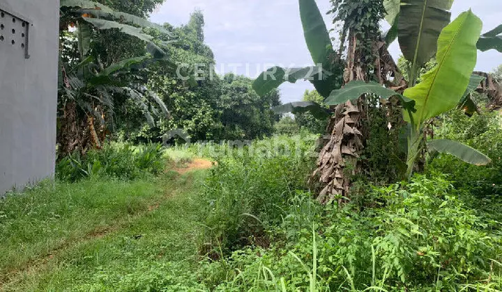 foto lainnya tanah belakang harvest city, cibubur