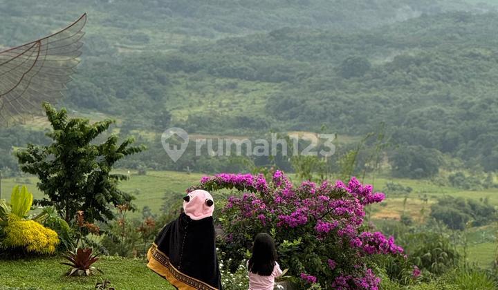 foto lainnya tanah kavling shm di atas