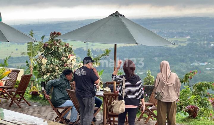 foto lainnya tanah kavling shm di atas