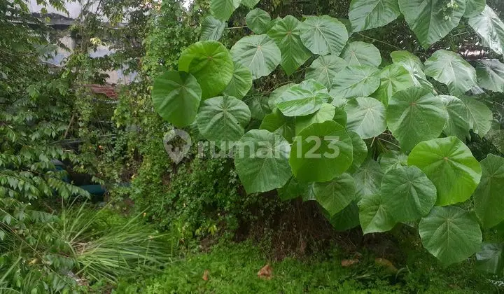 foto lainnya jual cepat bu rumah 1