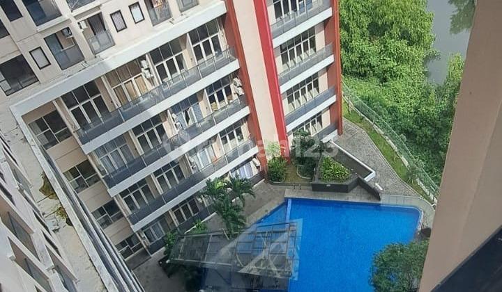kolam renang apartemen amega crown studio siap