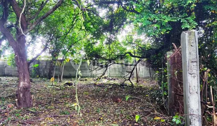 foto lainnya tanah luas cocok untuk cluster