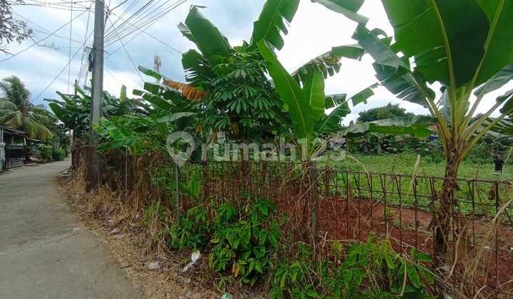 foto lainnya dijual tanah murah luas 1500