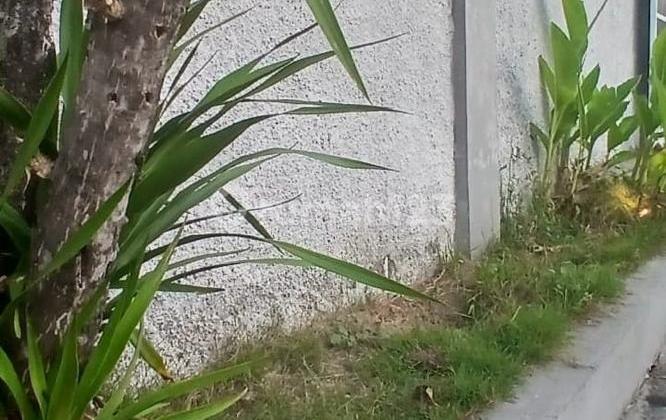 kamar tidur dijual rumah di perumahan taman