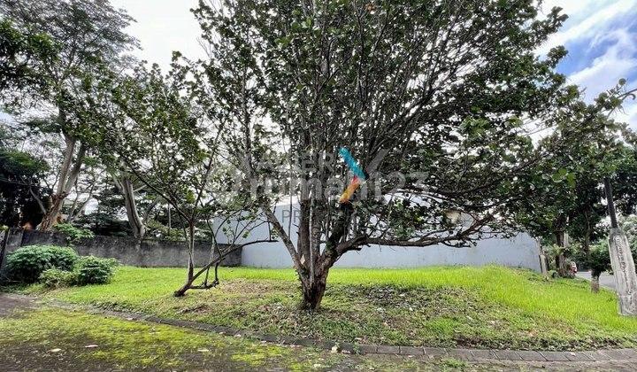 tampak depan tanah kavling hook di nieuw