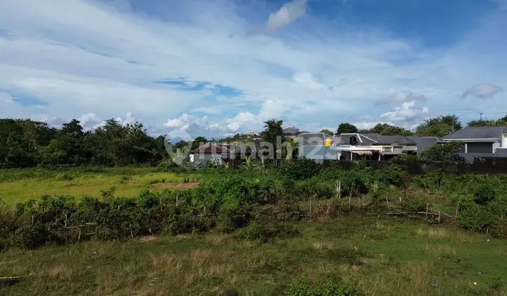 teras ungasan tanah murah dijual cocok