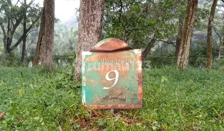 foto lainnya dijual kavling premium sentul city