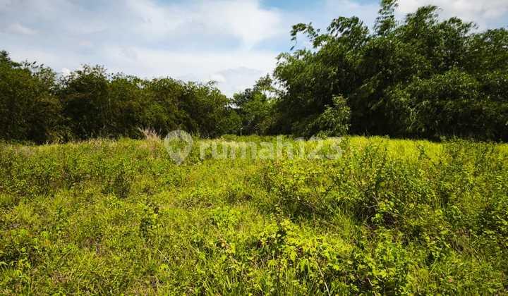 tampak depan tanah cocok buat perkebunan dan