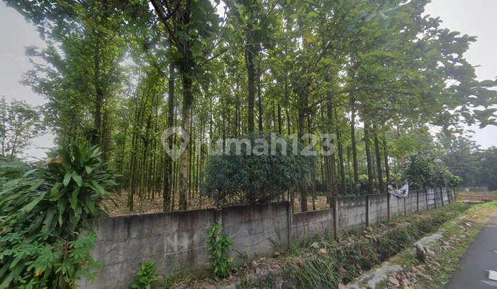 tampak depan jual kebun jati platinum 1500