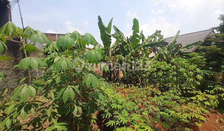 foto lainnya jual kavling strategis kampung padi