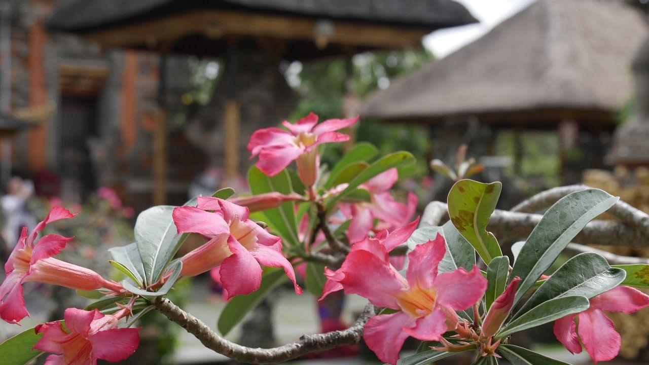 How to Buy a House in Bali as a Foreigner: Legal Requirements, Ownership Options, and Smart Tips