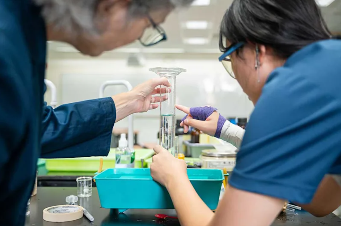 cost of international schools Indonesia