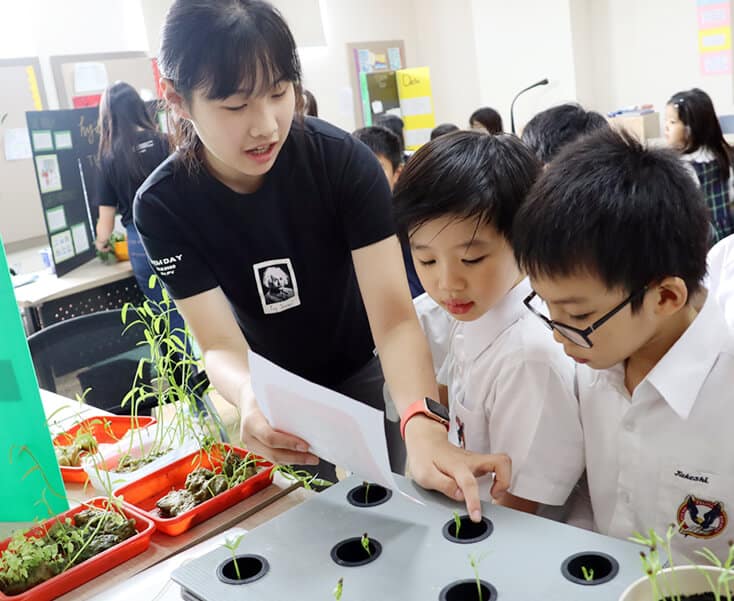 Cambridge curriculum schools in Indonesia, SPH Cambridge curriculum schools in Indonesia, SPH