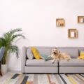 8 Top Pet-Friendly Apartments in Jakarta Starting from IDR 400 Million