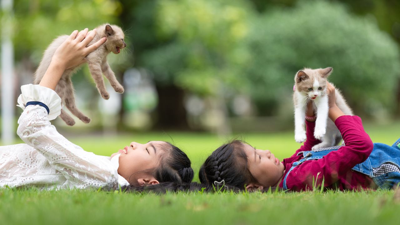 Understanding Pet Ownership Rules in Indonesia for Expats 3 pet in indonesia