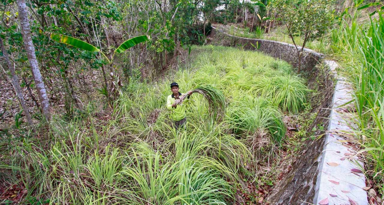 apa itu minyak atsiri