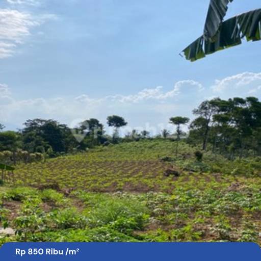 Tanah Di Jual Di Bojong Koneng Sentul, Nempel Km 0 Sepeda | Rumah123