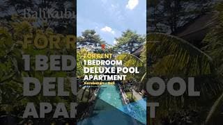 Monthly Rental Studio Apartment In Kerobokan - Pet Friendly Living Near Seminyak