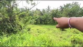For Sale Garden Land Tabanan Bali
