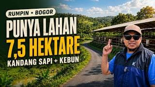 Jual Tanah Peternakan Sapi di Bogor Luas 7,5 Ha