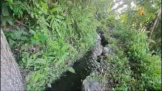 Tanah Disewakan 50 Are atau 1 Hektar dengan Pemandangan Indah, Cocok untuk Resort atau Vila di Area Tirta Gangga  

English Translation:  
For Lease: 50 Are or 1 Hectare of Land with Stunning Views, Ideal for Resort or Villas in Tirta Gangga Area