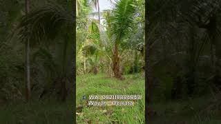 Premium Land for Sale in a Super Strategic Location in a Growing Area