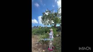 Dijual Tanah Komersial Strategis - Sebelah Sidewalk Jimbaran, Bali