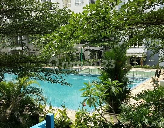 Apartemen Scientia view swimming pool lantai rendah