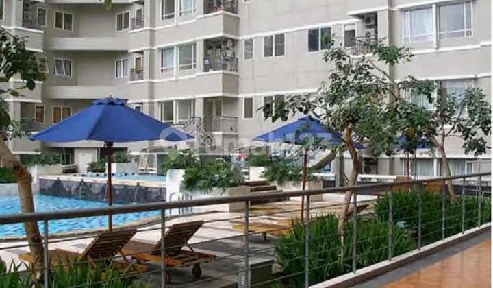 1BR, Furnish, Apartement Sudirman Park, View Pool