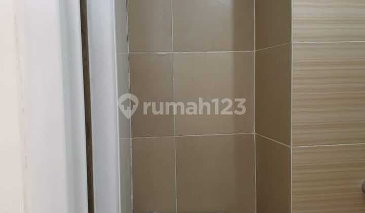 Paradise Mansion Apartment