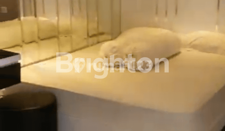 APARTEMENT MADISON PARK (TOWER MAHOGANY) 2 BEDROOMS