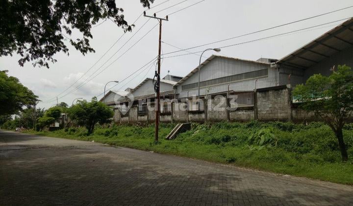 Gudang dengan Area yg sangat Luas di KIMA V. MAKASSAR