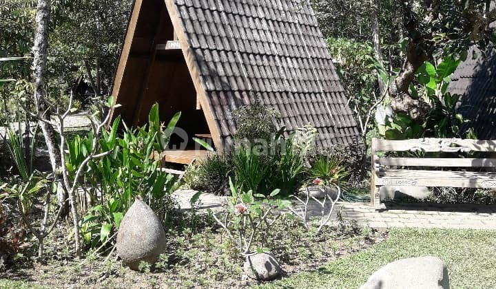 Cafe Asri Dan Tempat Pemancingan Di Lembang