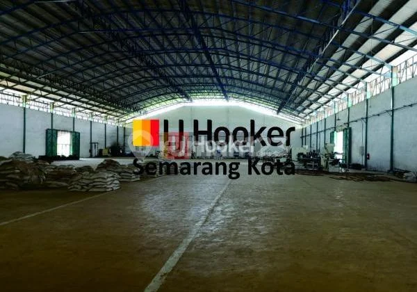 Gudang di daerah Industri Terboyo Gudang di daerah Industri Terboyo