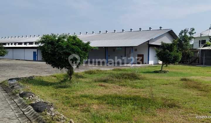 CARI BUYER VALID, PABRIK BEKAS KERTAS DI RAYA WARU