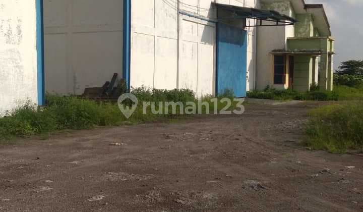 Warehouse in Balongpanggang Gresik