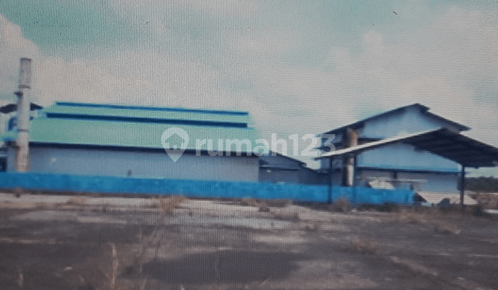 Pabrik Kelapa sawit di Jambi