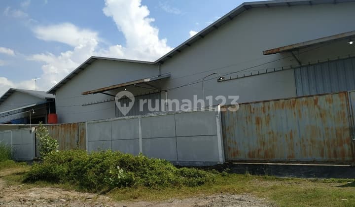 Gudang besar murah di Gatsu